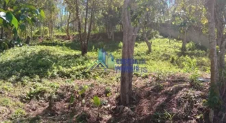 Terreno à venda no Cascatinha, Nova Friburgo RJ